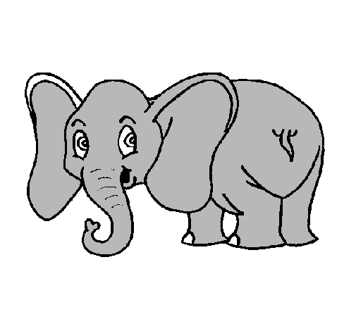Dibujo Elefante pequeño pintado por xabi
