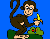 Dibujo Mono pintado por monillo