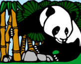 Dibujo Oso panda y bambú pintado por irenealcazar
