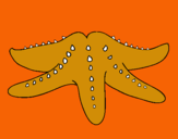 Dibujo Estrella de mar pintado por ukjllhhjgtuo