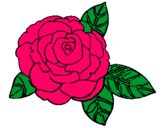 Dibujo Rosa pintado por daiyan
