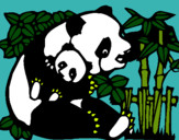 Dibujo Mama panda pintado por popopipi