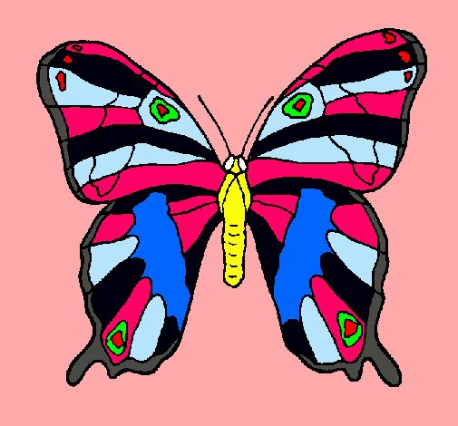 Dibujo Mariposa pintado por lauravera