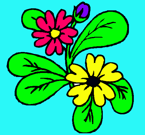 Dibujo Flores pintado por wingi