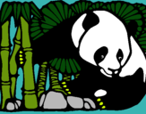 Dibujo Oso panda y bambú pintado por popopipi