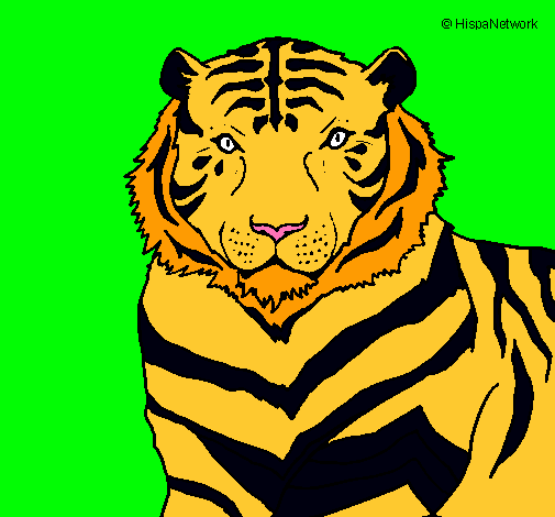 Dibujo Tigre pintado por Namolito