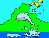 Dibujo Delfín y gaviota pintado por joosmer