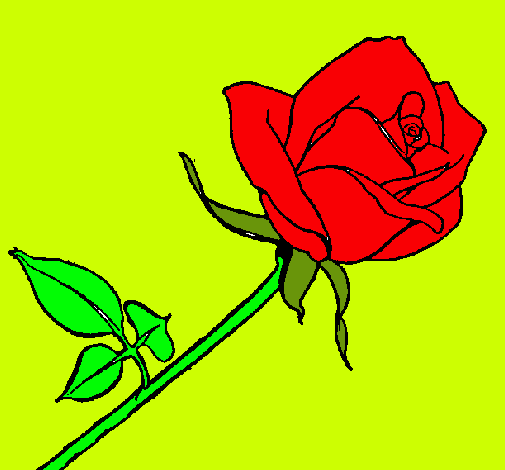 Dibujo Rosa pintado por -thom-