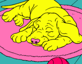 Dibujo Perro durmiendo pintado por molita