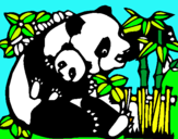 Dibujo Mama panda pintado por melindaamari