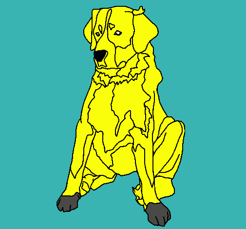 Dibujo Labrador pintado por molita