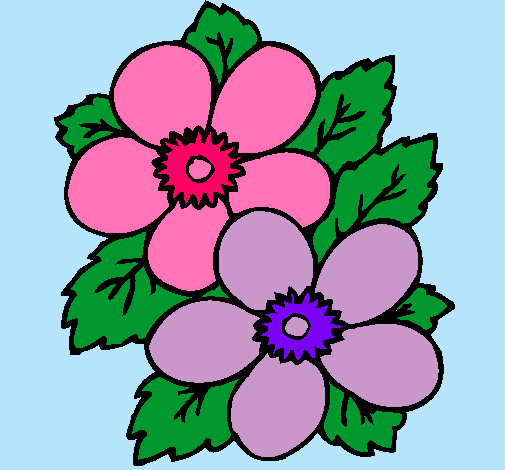 Dibujo Flores pintado por vale42