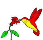 Dibujo Colibrí y una flor pintado por colibri
