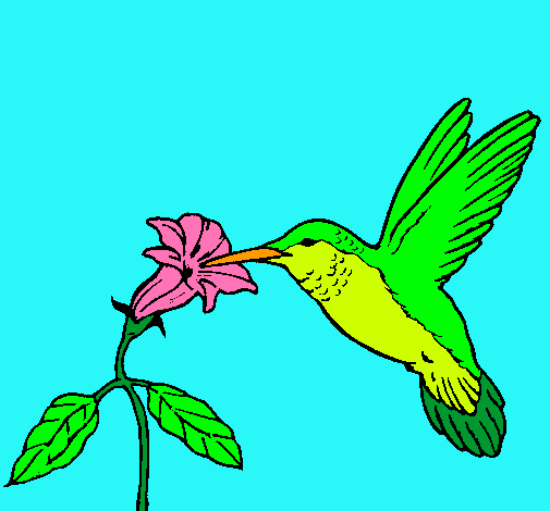 Dibujo Colibrí y una flor pintado por -thom-