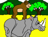 Dibujo Rinoceronte y mono pintado por ricardito