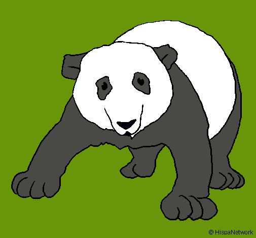 Dibujo Oso panda pintado por kaoshi