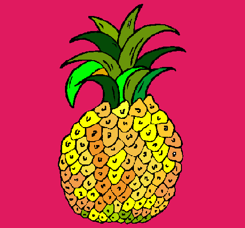 Dibujo piña pintado por milgen