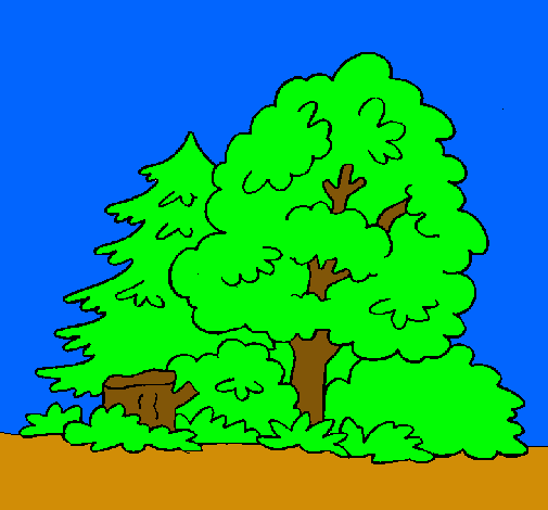 Dibujo Bosque pintado por JayJay02