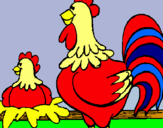 Dibujo Gallo y gallina pintado por DeniseteAMO