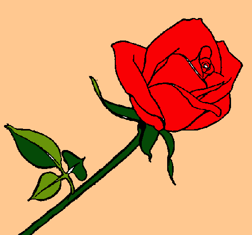 Dibujo Rosa pintado por ARIMICA