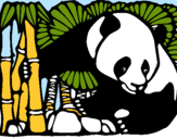 Dibujo Oso panda y bambú pintado por leonalina