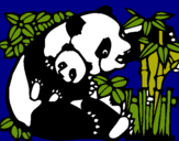 Dibujo Mama panda pintado por mamatierna
