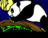 Dibujo Oso panda comiendo pintado por CHUMANEL