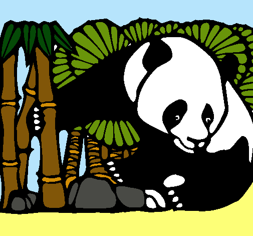 Dibujo Oso panda y bambú pintado por Misspimpim