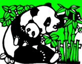 Dibujo Mama panda pintado por pandi