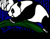 Dibujo Oso panda comiendo pintado por pandadenoche