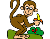 Dibujo Mono pintado por riureyrosas
