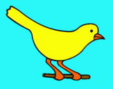 Dibujo Pájaro 4 pintado por desy