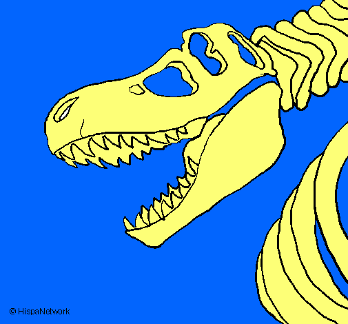 Dibujo Esqueleto tiranosaurio rex pintado por DailoDrago