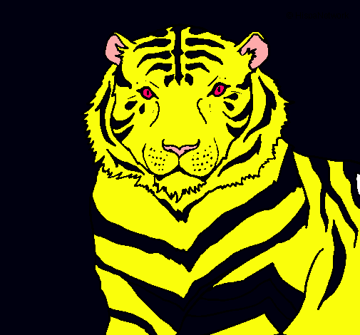 Dibujo Tigre pintado por 701700