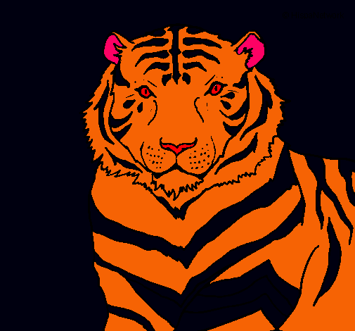 Dibujo Tigre pintado por 701700