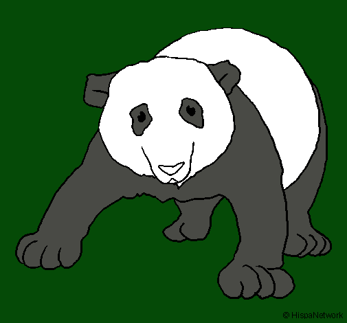 Dibujo Oso panda pintado por usuar