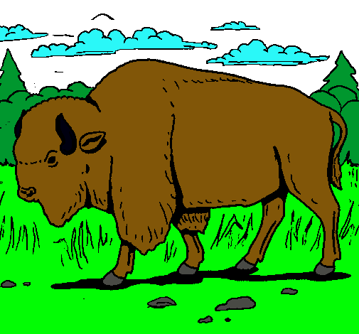 Dibujo Búfalo  pintado por cachito