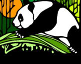 Dibujo Oso panda comiendo pintado por neniz