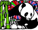 Dibujo Oso panda y bambú pintado por lorelaky