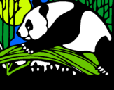 Dibujo Oso panda comiendo pintado por citlalli68