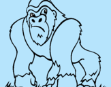 Dibujo Gorila pintado por jhghjjjjjjjj