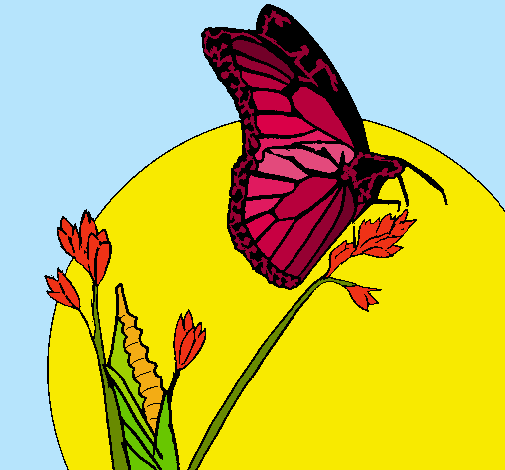 Dibujo Mariposa en una rama pintado por Brando_201