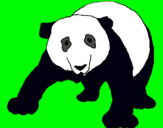 Dibujo Oso panda pintado por cote10