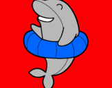 Dibujo Delfín con flotador pintado por 2556941
