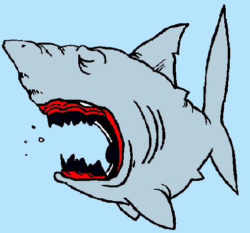 Dibujo Tiburón pintado por dddds