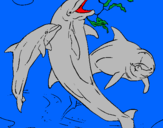 Dibujo Delfines jugando pintado por dinamargar