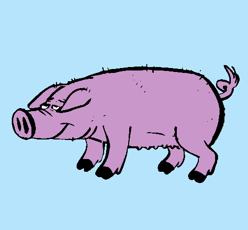 Dibujo Cerdo con pezuñas negras pintado por javiera1