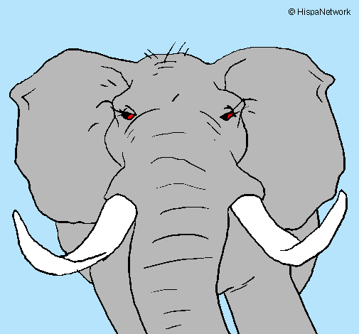Dibujo Elefante africano pintado por dddds
