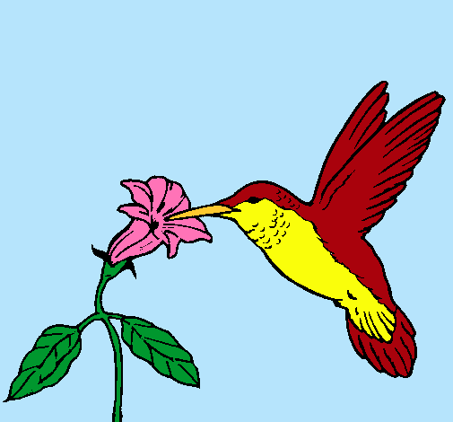 Dibujo Colibrí y una flor pintado por etefania