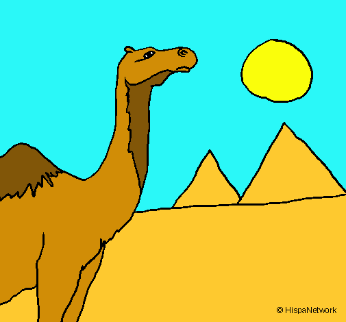 Dibujo Camello pintado por usuar